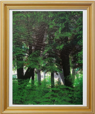 Emerald Sanctuary: An Impression of Untamed Wilderness