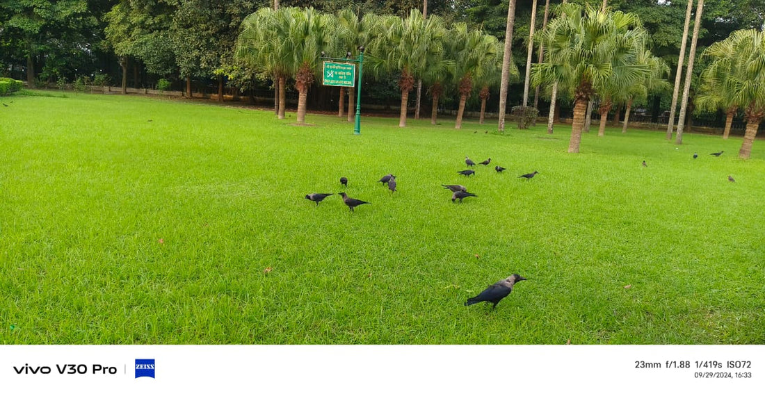 "शरदोत्सव- शरद ऋतु की उत्सवबेला - शारदीय नवरात्र से महापर्व छठ की यात्रा "