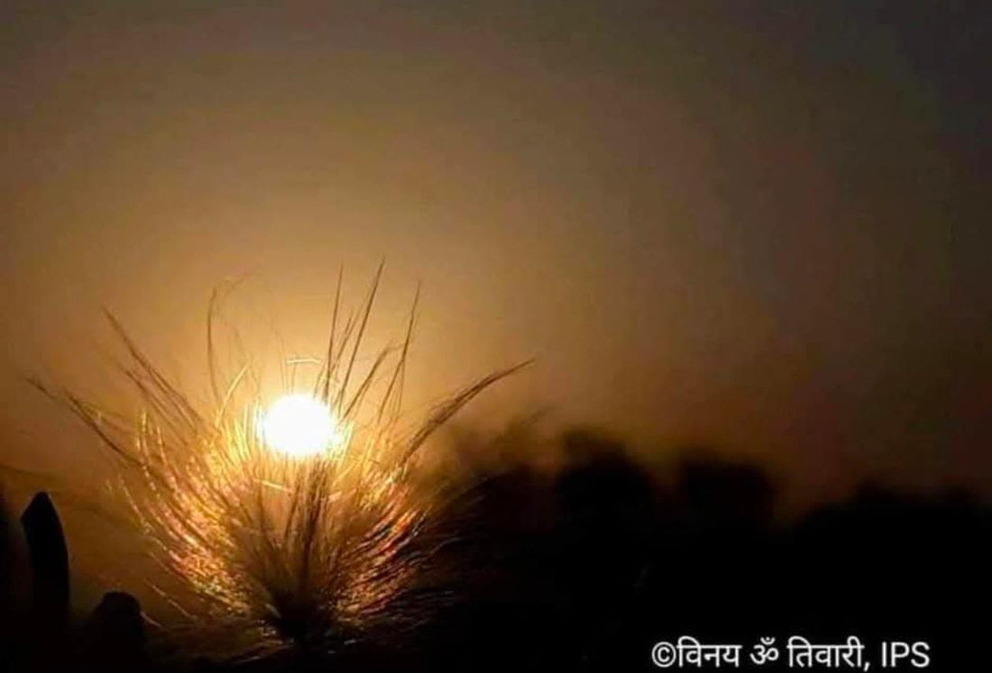 दीप और आत्म का दर्शन